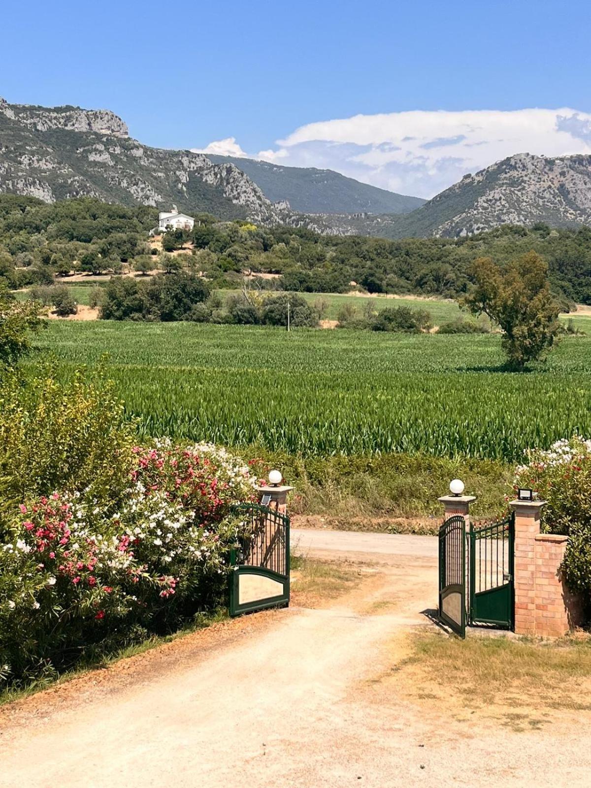 קאפאצ'יו-פאסטום Villa Lia Cilento מראה חיצוני תמונה